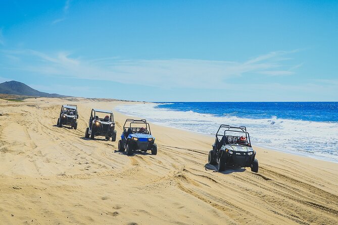 Beach CAN-AM SXS X3 and Horseback Ride in Cabo - Who should book this experience