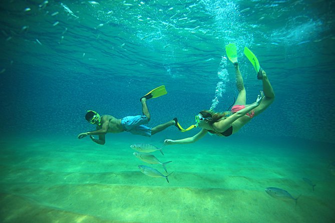 Beach Hopper Small-Group Snorkeling Tour in Los Cabos - A three-and-a-half-hour escape from Cabo Marina