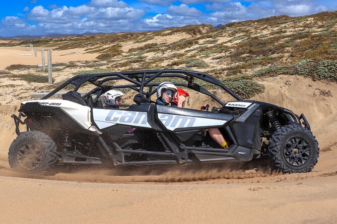 Beach UTV Adventure with Free Camel and Horseback Ride - Three Cabo rides packed into three hours