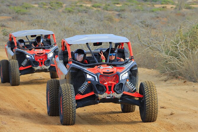 Beach UTV and Camel Ride Combo in Cabo - Guides who shape the day