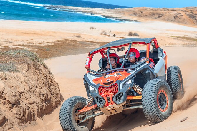 Beach UTV and Camel Ride Combo in Cabo - Is the $100 price good value?
