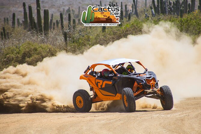 Beach UTV and Camel Ride Combo in Cabo - Who should book this Cabo combo?