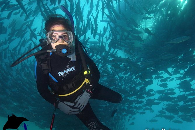 Beginner Scuba Diving in Cabo San Lucas - What the $142 Price Includes