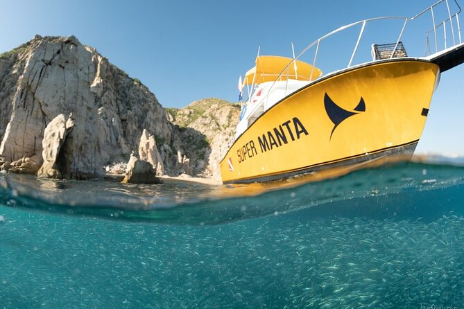 Beginner Scuba Diving in Cabo San Lucas - Who Will Get the Most From This Experience
