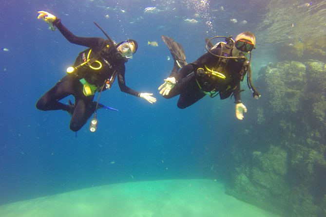 Beginner Scuba Diving in Cabo San Lucas - Learning the Skills Before You Explore