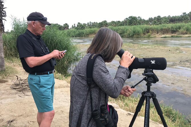 Birding San Jose Estuary Los Cabos Mexico - Why San Jose Estuary is worth your morning