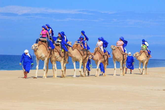 Boat Ride to the Arch and Beach Camel Ride in Cabo San Lucas - Mexican buffet, drinks, and a low-key tequila tasting