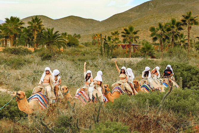 Boat Ride to the Arch and Beach Camel Ride in Cabo San Lucas - The Pacific drive to Rancho Tierra Sagrada