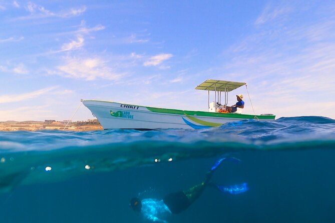 Boat ride to the Arch and Snorkel - Guacamole, cold drinks, and the trip back