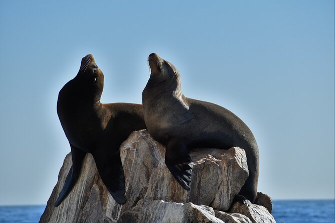 Boat ride to the Arch and Snorkel - Starting at Breathless Cabo San Lucas