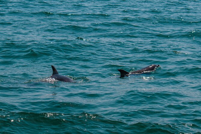 Boat Tour Snorkeling Tour with Guide, Drinks and Fruit - A two-hour way to see Cabo from the water