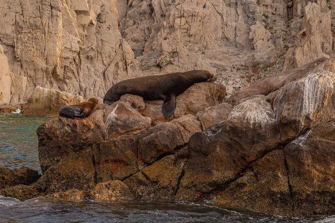 Boat Tour Snorkeling Tour with Guide, Drinks and Fruit - The first 45 minutes: Cabo’s famous landmarks