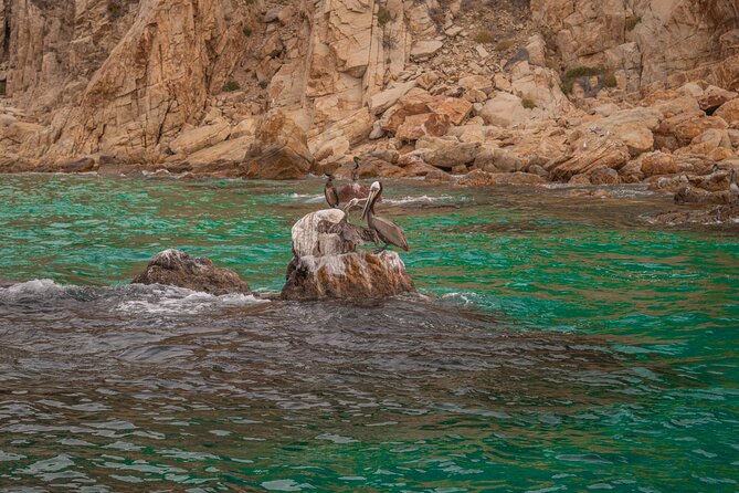 Boat Tour Snorkeling Tour with Guide, Drinks and Fruit - The 45-minute snorkeling session