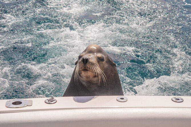 Boat Tour Snorkeling Tour with Guide, Drinks and Fruit - What the $45 price really covers