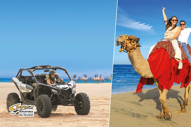 Cabo Adventure: Can-Am X3 Ride & Camel Beach Tour - Key points to know before you book