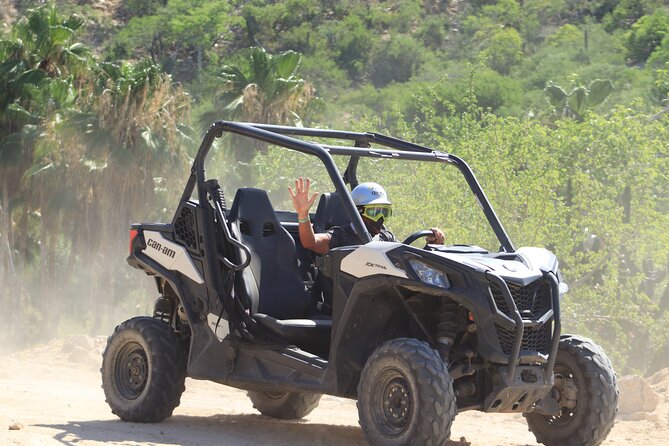 Cabo Adventure: Can-Am X3 Ride & Camel Beach Tour - A slower hour with camels on the Pacific