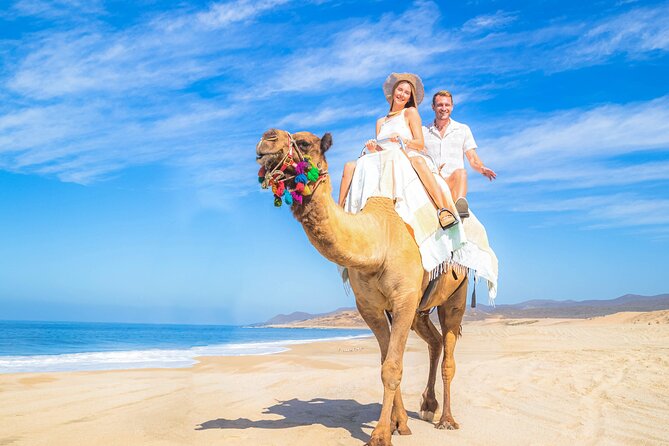 Cabo Adventure: Can-Am X3 Ride & Camel Beach Tour - Buffet, tequila, water, and the family setup