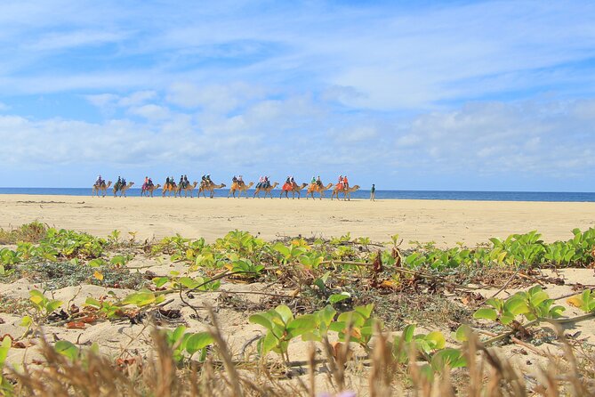 Cabo Adventure: Can-Am X3 Ride & Camel Beach Tour - Is $175 a fair price?