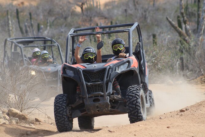 Cabo Adventure: Can-Am X3 Ride & Camel Beach Tour - Who will enjoy this most?