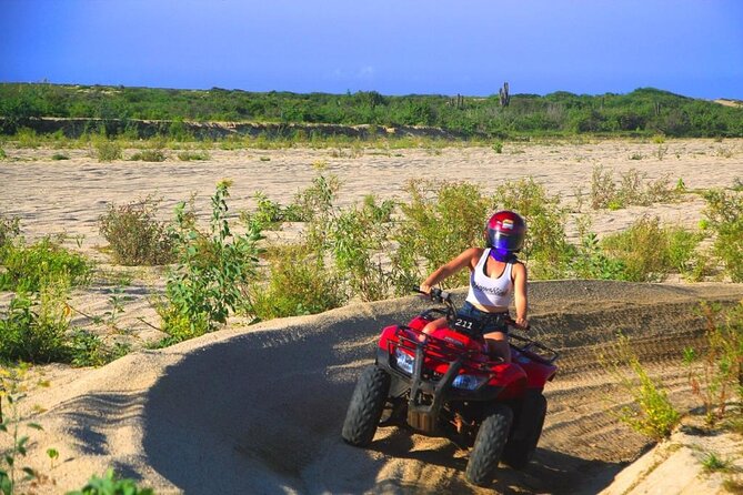 Cabo ATV and Camel Ride Combo Migriño Adventure - The main strengths and weak spots
