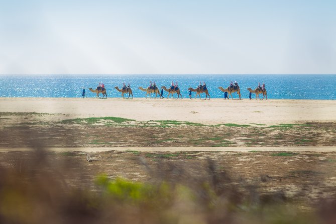 Cabo Beach Camel Ride, Mexican Buffet and Tequila Tasting - The photo stop and the cost of souvenir images