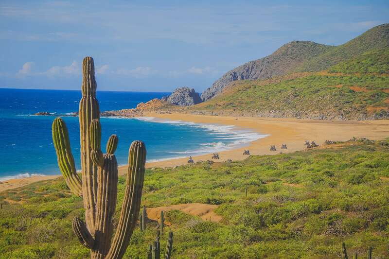 Cabo: Beach & Desert Single ATV Tour with Tequila Tasting - Key points before you book