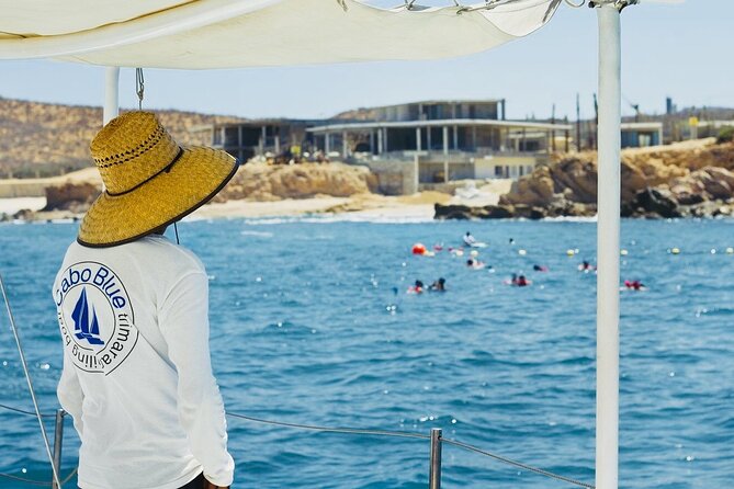 Cabo Blue Snorkeling Cruise, Open Bar and Lunch in Cabo San Lucas - Whales, sea lions, and the wildlife bonus