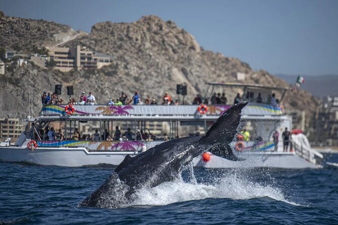 Cabo Boat Tour: Drinks, Lunch, Snorkeling, Dancing, and Transport - The Cabo sights arrive before the party
