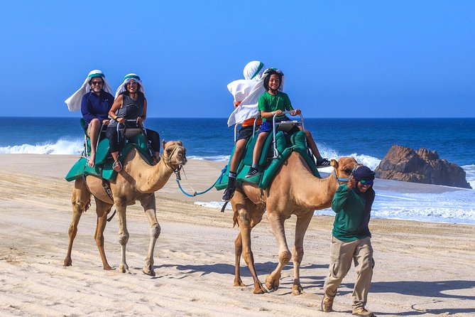 Cabo Camel Ride Experience - Key points to know before booking
