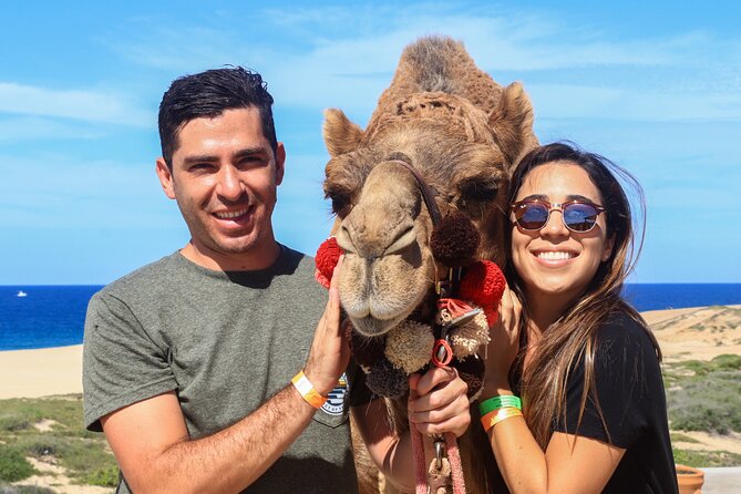 Cabo Camel Ride Experience - Arriving at El Migriño Beach