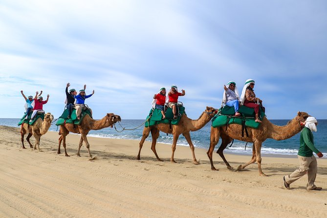 Cabo Camel Ride Experience - Group size, guides, and the overall pace