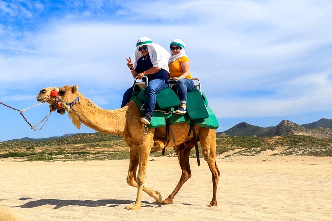 Cabo Camel Ride Experience - Booking, weather, and cancellation advice
