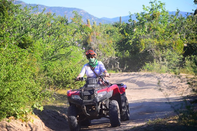 Cabo Candelaria Village Adventure + Tequila Tasting - La Candelaria gives the ride a human side