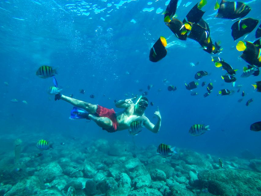 Cabo Catamaran Snorkel: Arch & Santa Maria, Open Bar, Snacks - What you get from the open bar and snacks