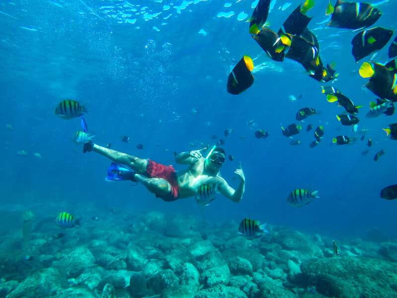 Cabo Catamaran Snorkel: Arch & Santa Maria, Open Bar, Snacks - Is $75 a good value?