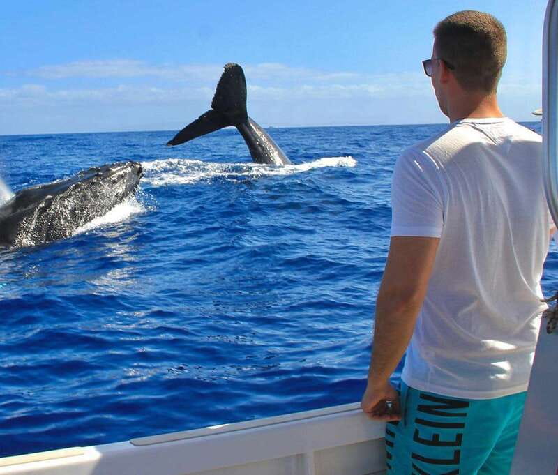 Cabo Catamaran Snorkel: Arch & Santa Maria, Open Bar, Snacks - Who should book La Princesa Catamaran?