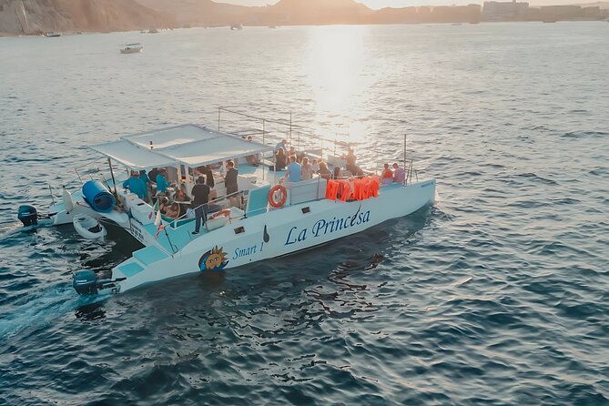 Cabo Catamaran – Snorkeling Tour & Coastal Views - Key points at a glance