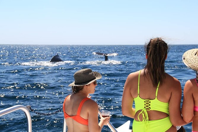 Cabo Catamaran – Snorkeling Tour & Coastal Views - How much value do you get for $89?