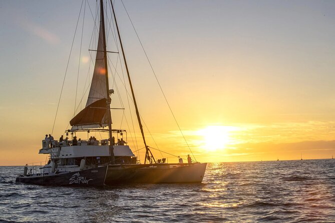 Cabo Cruise Sunset Adventure: Tacos, Margaritas & Sea Lions - Key points to know before booking