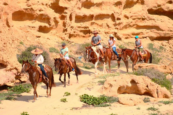 Cabo Desert ATV & Beach Horseback Combo enjoy adventure and beauty! - Desert trails in a Polaris RZR or CFMOTO
