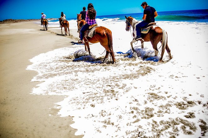 Cabo Desert ATV & Beach Horseback Combo enjoy adventure and beauty! - The scenery between Cabo and the beach