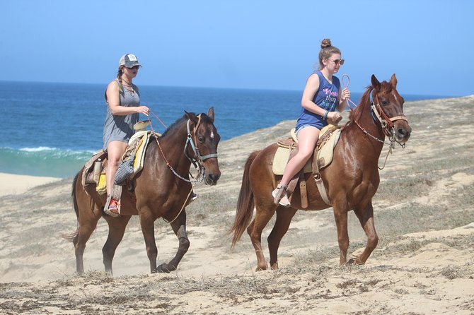 Cabo Desert Off-Road & Beach Horseback Combo and Tequila Tasting - Who will get the most from this Cabo combo