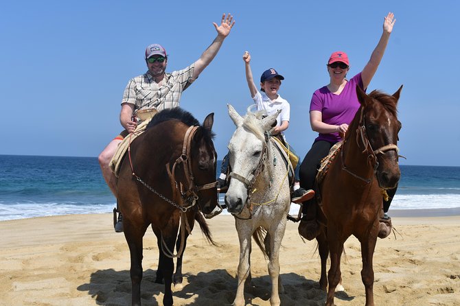 Cabo Desert Off-Road & Beach Horseback Combo and Tequila Tasting - How to decide if the $100 price is worthwhile