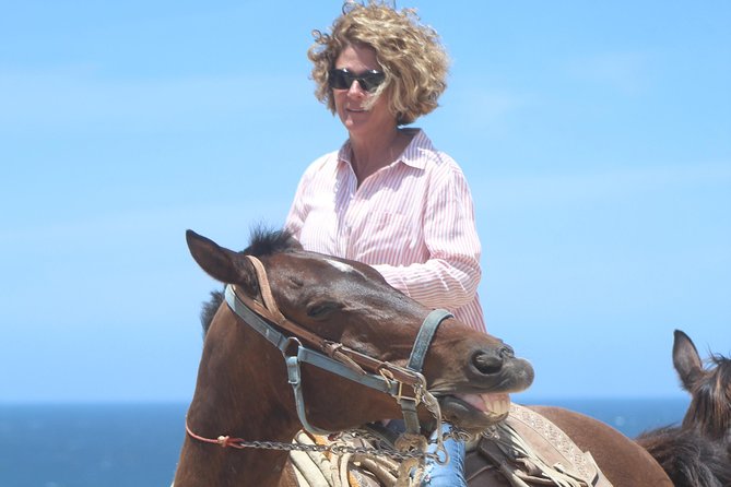 Cabo Desert Off-Road & Beach Horseback Combo and Tequila Tasting - Should you book this Cabo horseback and ATV tour?