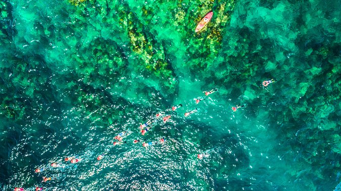 Cabo Escape Breakfast Snorkel Cruise - Should you book the Cabo Escape Breakfast Snorkel Cruise?
