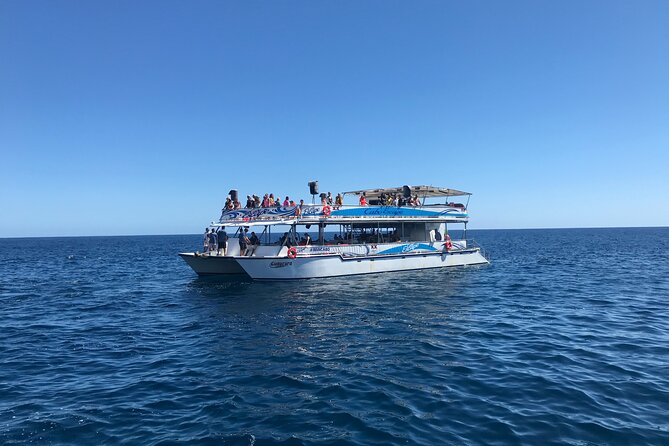 Cabo Escape Snorkel Fun Cruise - Should you book the Cabo Escape Snorkel Fun Cruise?