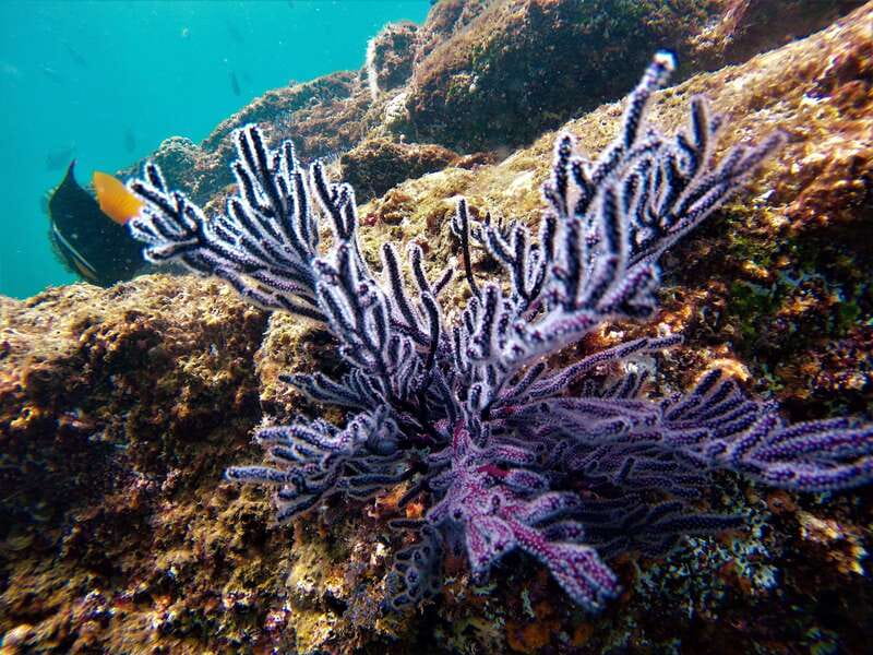 Cabo: Hidden Beach Day with Snorkeling in the Sea of Cortez - Practical booking details for a flexible Cabo day