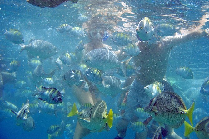 Cabo Highlights - A full Cabo day, from El Arco to Mexican glass