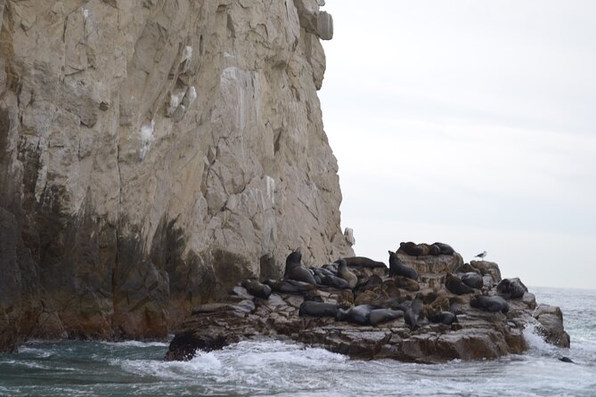 Cabo Highlights - The photographer issue deserves attention