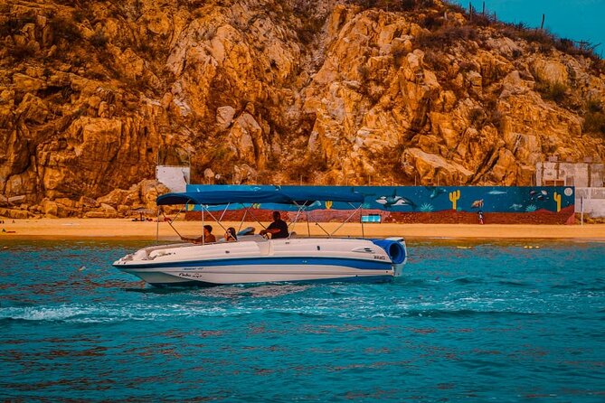 Cabo life Private Yacht in Los Cabos | 10 PAX & 3 HRS - The chance of whales adds a seasonal bonus